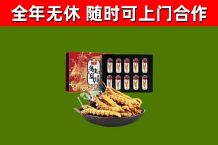 昆玉回收冬虫夏草价格